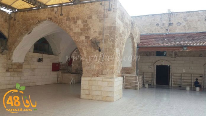 wafd academy luduh3 (5).jpg